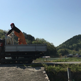 猪名川農業女子PJの画像