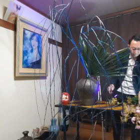秦野市花教室美LEＡＦ カリスマ華道家が後ろ活けで、1分で超大作華道作品をいけてみたら...の画像