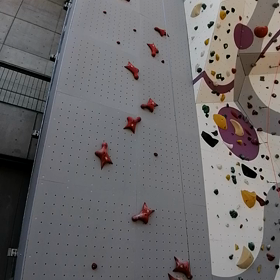 スピードクライミングの画像