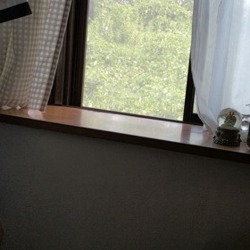 台風の風？？の画像