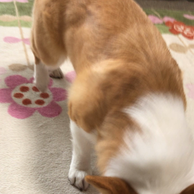 3月も終わりの画像