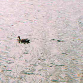 20211103 ▶ 秋ですよ〜の画像