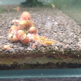 楽しみです。の画像