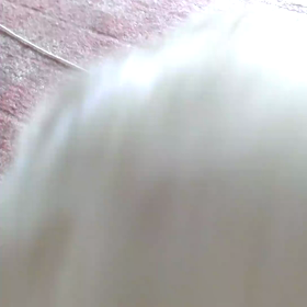 7クール目終了の画像