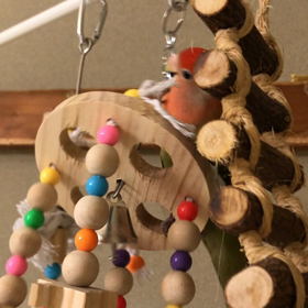 天空気功の画像