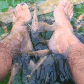 大漁❗️の画像