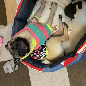 がんばりましたの画像