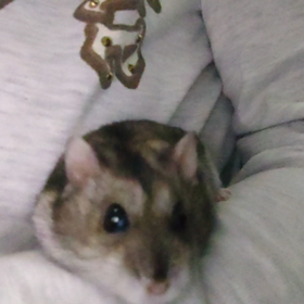 勝手にログアウトの画像