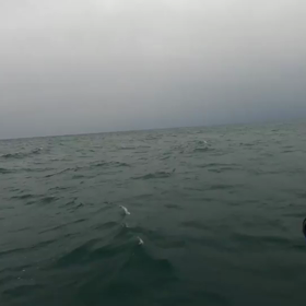 あんまり伝わらないかな？の画像