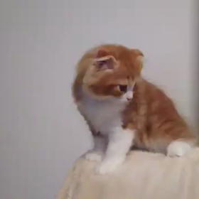 やったぁ～(*≧∀≦*)の画像