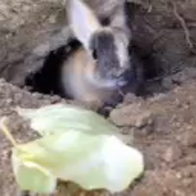 よく頑張りましたということでの画像