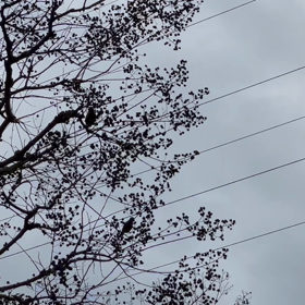 夢のお話。の画像