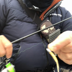 デイ尺アジ捕獲動画です（泣）の画像