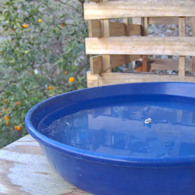 すぎぴたんの事件簿シーズン3　202話（取りたいけど、取れない？）の画像