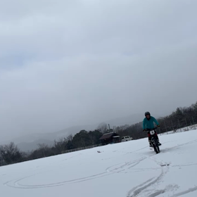 雪の日の画像