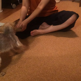 またまた遊ぶカルたんの画像