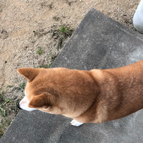 かみ合わないの画像