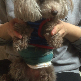 動画（≧∇≦）の画像