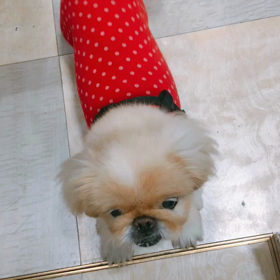 ぐりたん。の画像