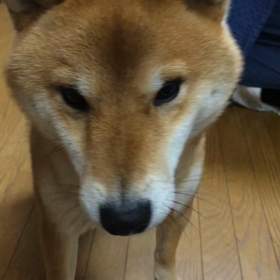 ナイスキャッチの画像