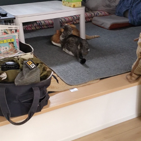 誤嚥性肺炎の画像