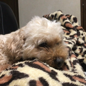 今日は節分の日の画像