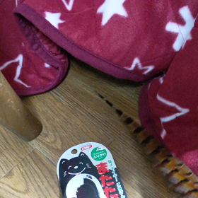 コタツオマリーの画像