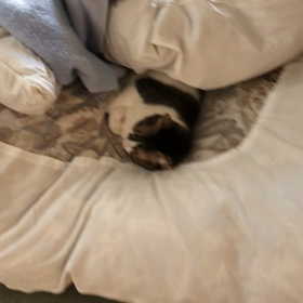 やっぱり雨女で白髪になる。の画像