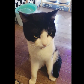 できた〜〜！！(^-^)vの画像