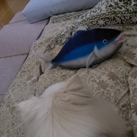 おもちゃの画像