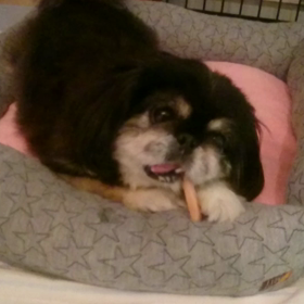 かのちゃん回復の画像