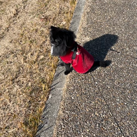 2022年1月29日　誕プレの画像