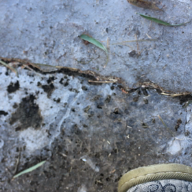 たまらんのー止まらんのーの画像