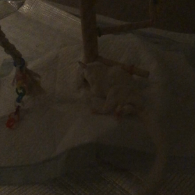 マーキングの画像