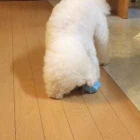 おやつボールの画像