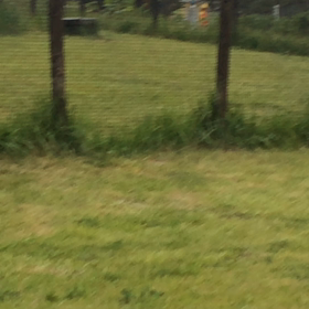 アイカリ動画の画像