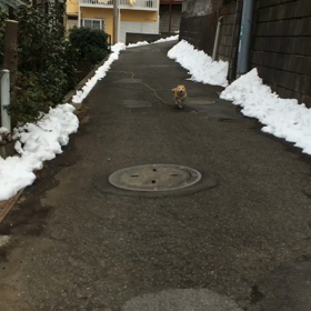 ちょっと不思議だった。サリーの思い出話。の画像