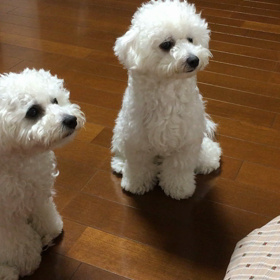 おにくのちから。の画像