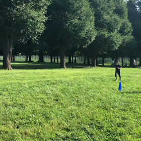 1000m １組目④の画像