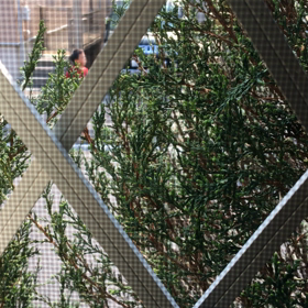 周りの子供達、いつも騒いでるんですけど、どうすれば良い？の画像