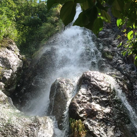 ☆2021/07/23☆の画像