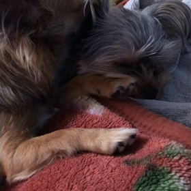 仲良しカップル^_^の画像