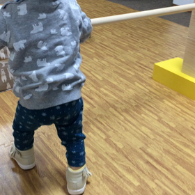 巧技台と斜面台の成長経過（1歳7ヶ月）の画像