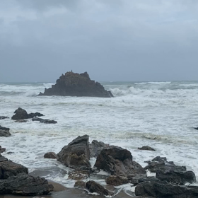 まだお休みです。の画像