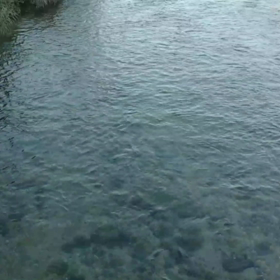 出先にての画像