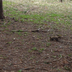 いい日旅立ちの画像