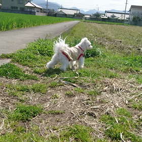 もうすぐ10歳動画の画像