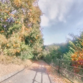 ボチボチの画像