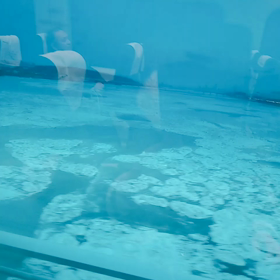 漢川が、、、の画像