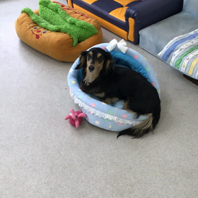 ♪プレイルーム動画♪②の画像